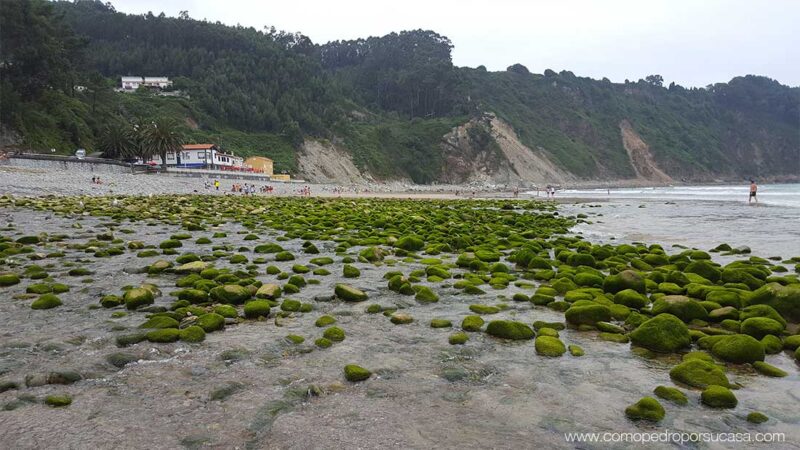 piedras mojadas en la playa de la concha de artedo