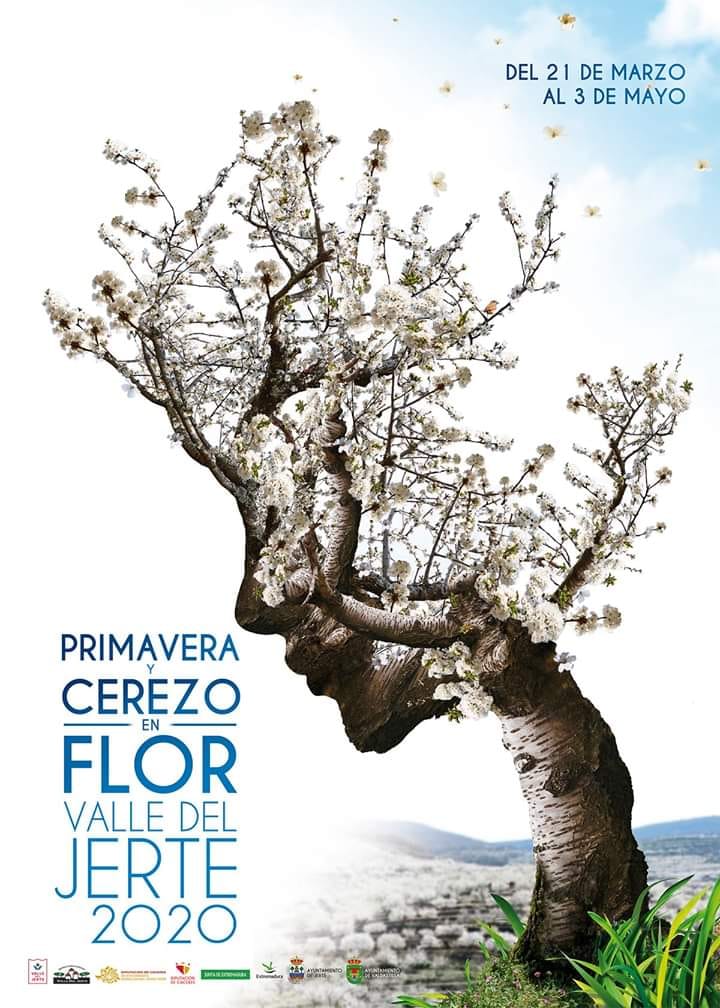 Cartel 2020 Cerezos Valle del Jerte